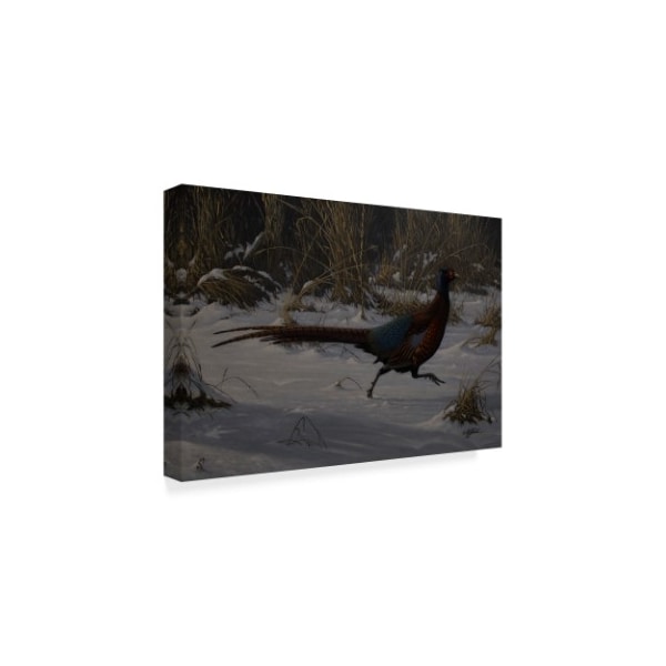 Wilhelm Goebel 'Strauch Pheasant' Canvas Art,22x32